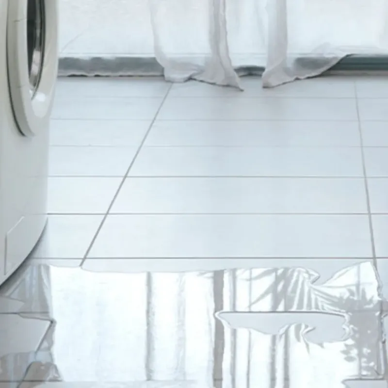 Appliance Leak Cleanup in Knoxville, IA