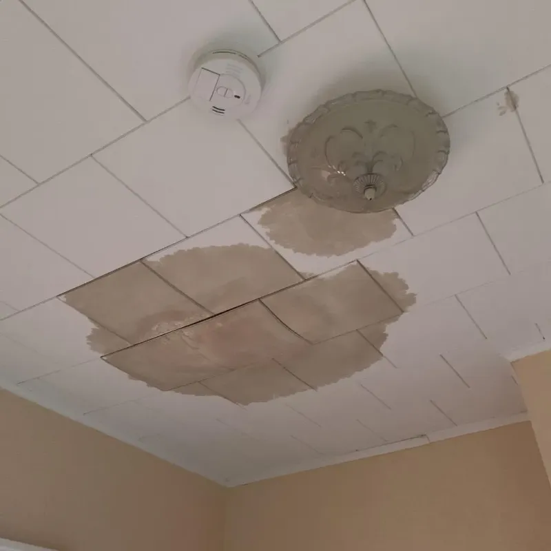 Ceiling Water Damage Repair in Knoxville, IA