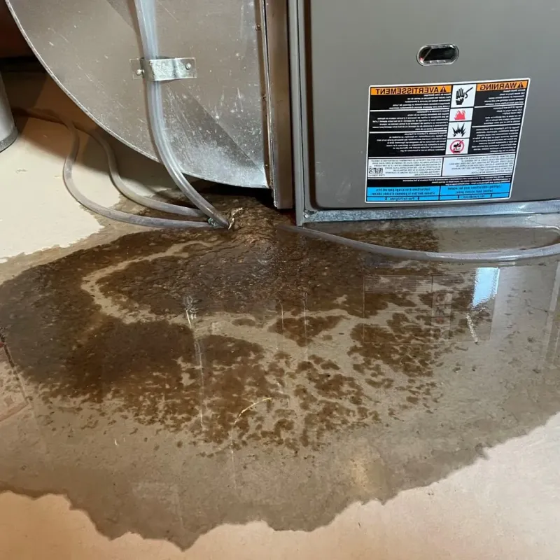 Pipe Burst and Leak Restoration in Knoxville, IA
