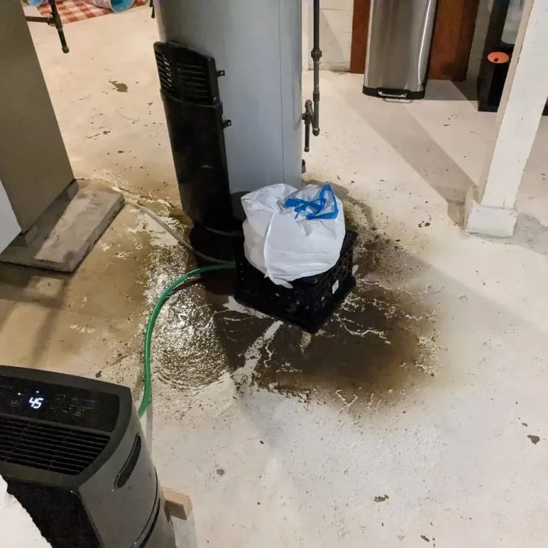 Sewage Backup Cleanup Service in Knoxville, IA